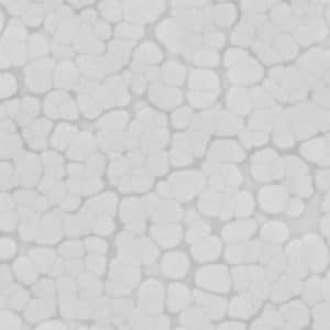 silver plating sem image