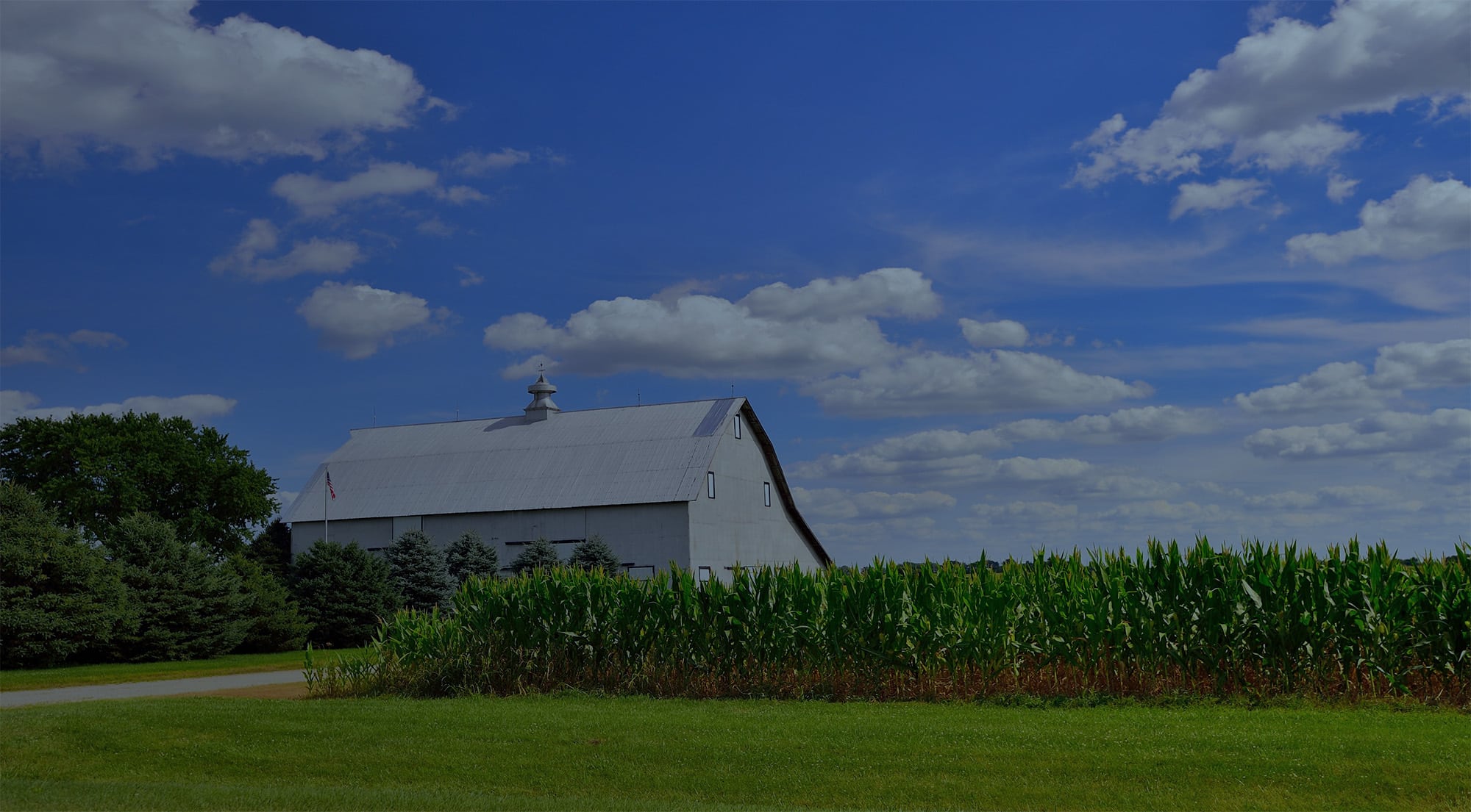 barn and corn field in rural Illinois