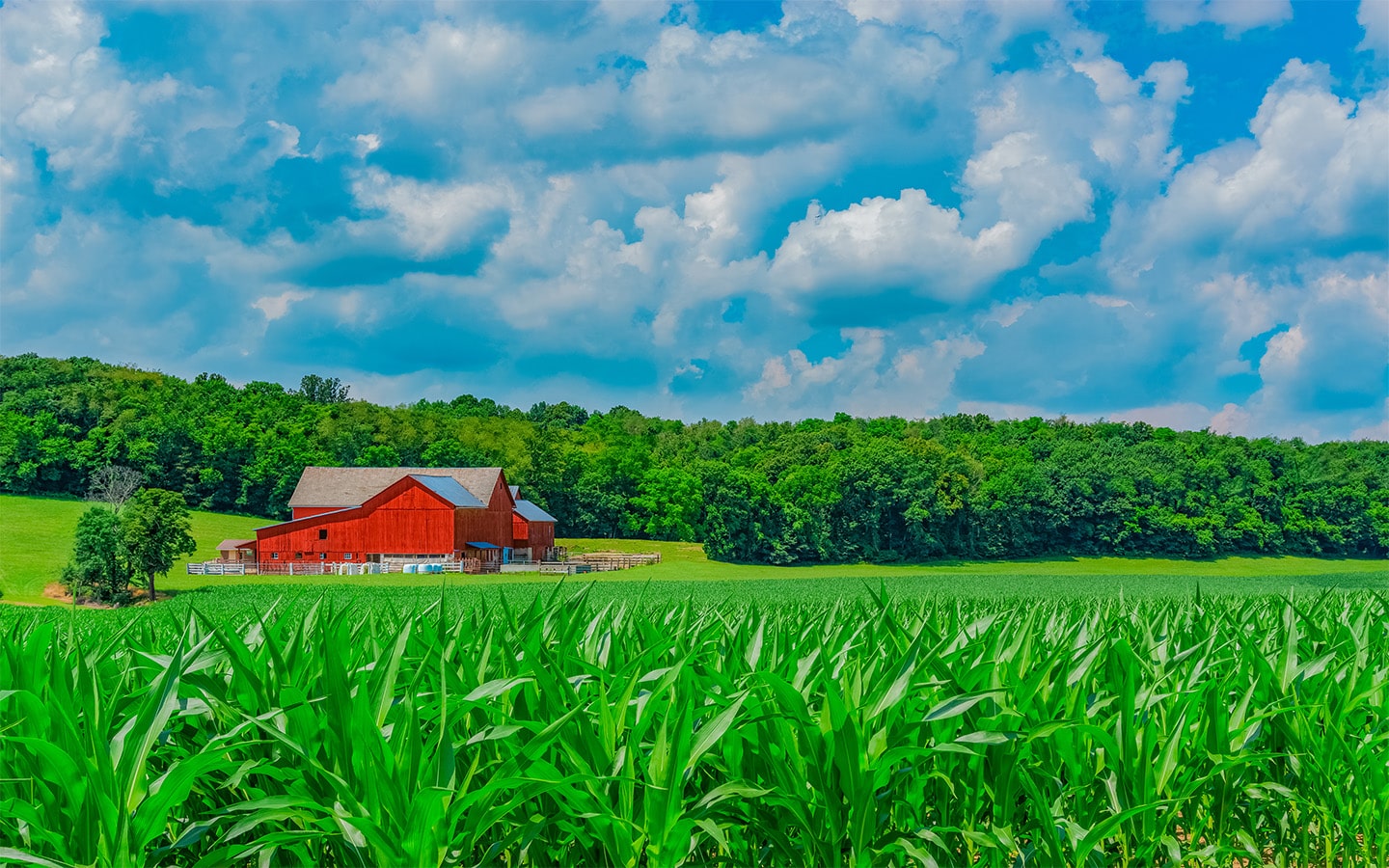 image of barn in rural Ohio near Armoloy Ohio